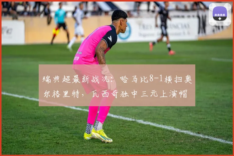 瑞典超最新战况：哈马比8-1横扫奥尔格里特，瓦西奇独中三元上演帽子戏法全记录